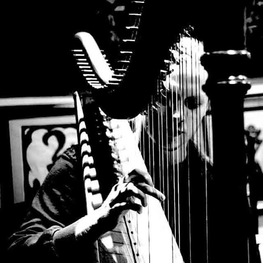 Taras - local harpist